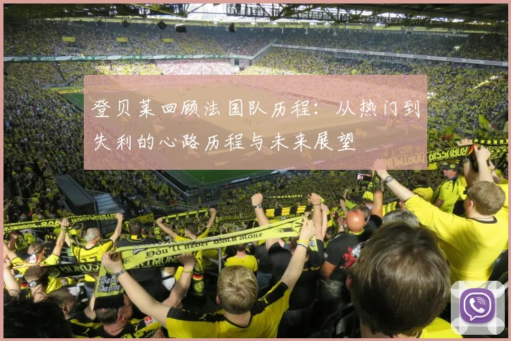 登贝莱回顾法国队历程：从热门到失利的心路历程与未来展望