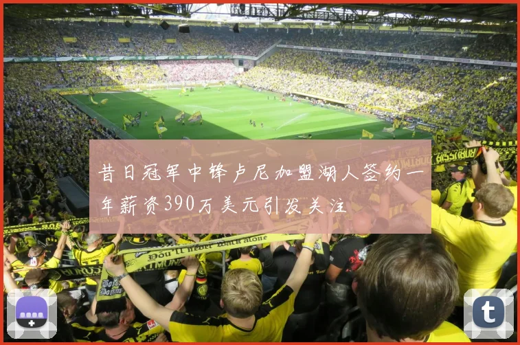 昔日冠军中锋卢尼加盟湖人签约一年薪资390万美元引发关注