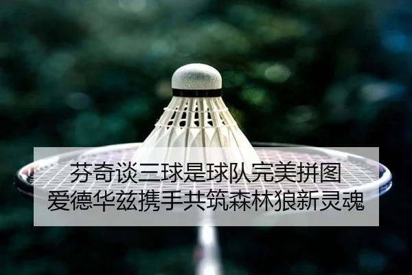 芬奇谈三球是球队完美拼图 爱德华兹携手共筑森林狼新灵魂（3377Sports）
